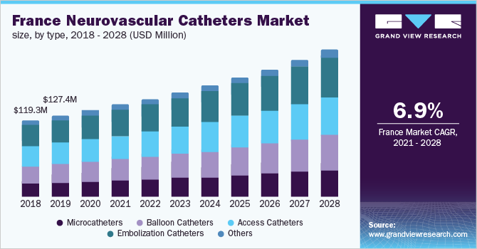 2018 - 2028年法国神经血管导管市场规模(万美元)