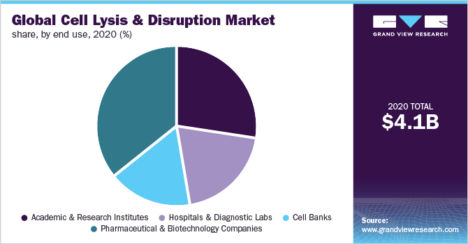 全球细胞裂解和破坏市场份额，按最终用途，2020年(%)