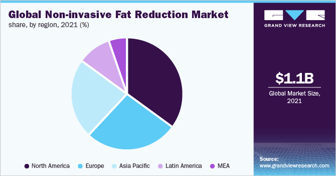 2021年全球非侵入式减脂市场份额，各地区(%)