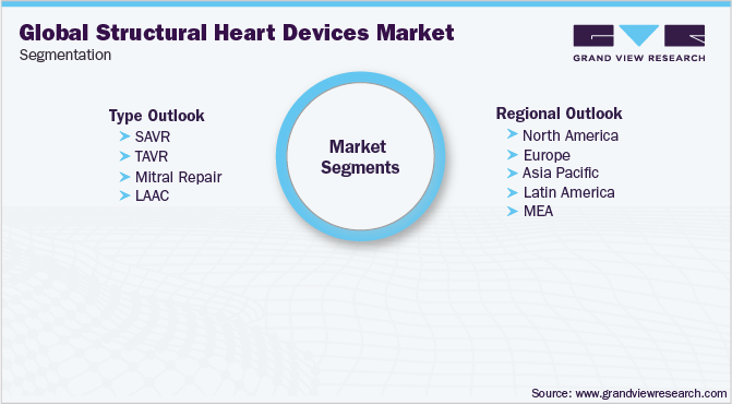 全球结构性心脏设备市场细分