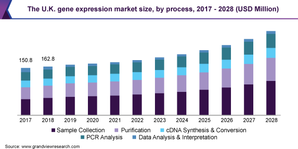 英国基因表达市场规模，各过程，2017 - 2028年(百万美元)