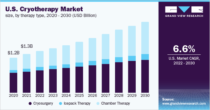 美国冷冻疗法市场规模，各治疗类型，2020 - 2030年(十亿美元)