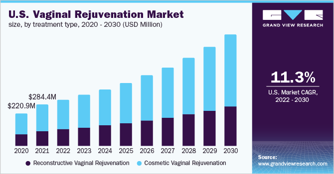 2020 - 2030年，按治疗类型分列的美国阴道年轻化市场规模(百万美元)