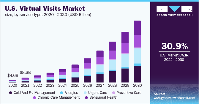 美国虚拟访问市场规模，各服务类型，2020 - 2030年(美元)